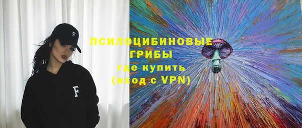 спайс Алексин