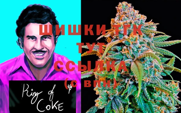 спайс Алексин
