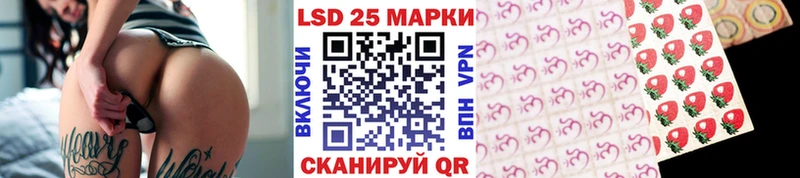 как найти закладки  Новоузенск  Марки NBOMe 1,8мг 