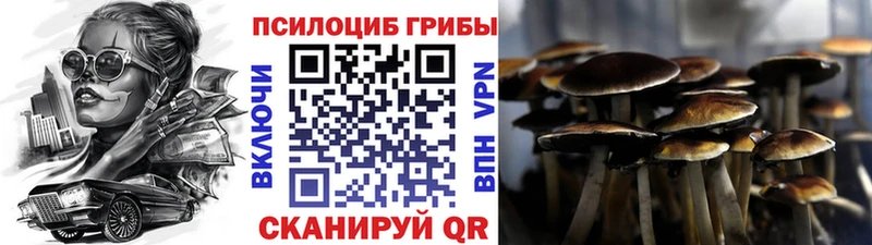 Галлюциногенные грибы мицелий  Новоузенск 